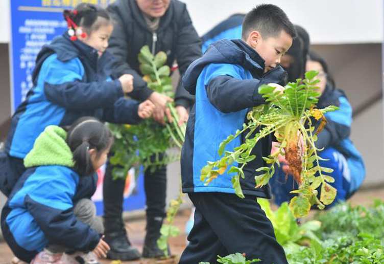 孩子们，上劳动课了！——聚焦中小学新版劳动课几个关注点